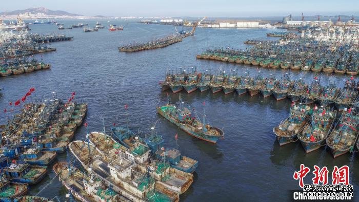 山东荣成渔业资源丰富，随着生态渔业的发展与科技研发的助力，该地海洋食品倍受青睐。　李信君　摄